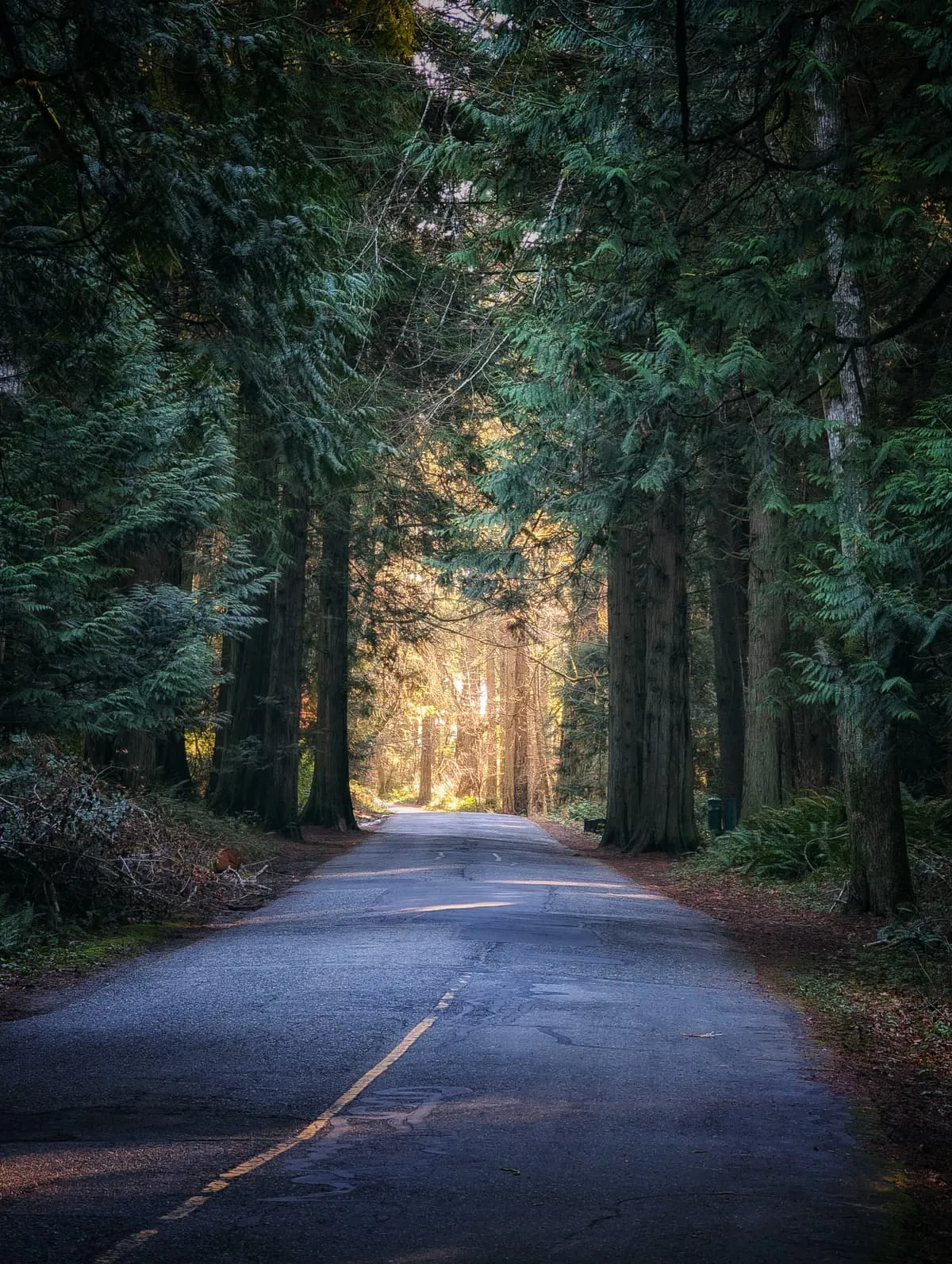 Weekly training photos