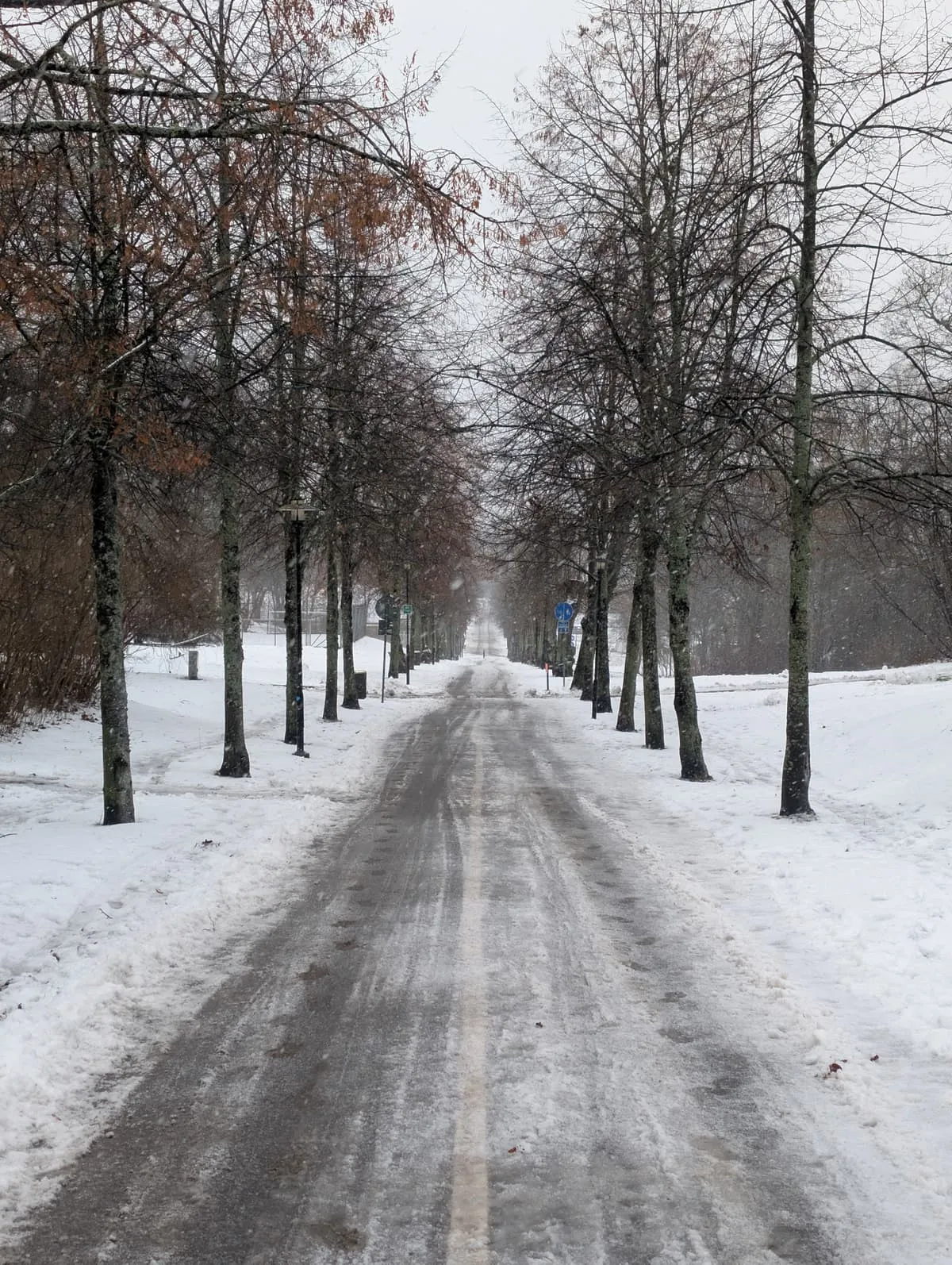 Weekly training photos